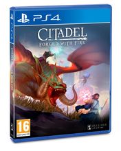 Citadel: Forged With Fire Packshot